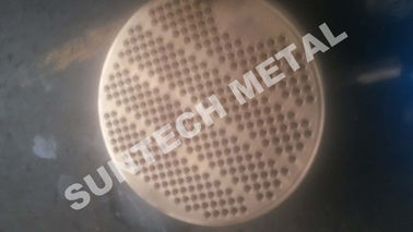 China Copper Clad Plate Naval Brass Tubesheet supplier