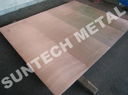 Explosion Bonded 316L Copper Clad Tubesheet for Corrosion Resistance