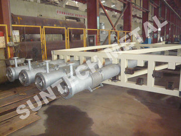 Chemical Processing Equipment Alloy C-22 Tubular Reactor for Food supplier
