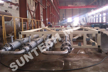 Chemical Processing Equipment Alloy C-22 Tubular Reactor for Food supplier